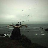 Άβαταρ μέλους